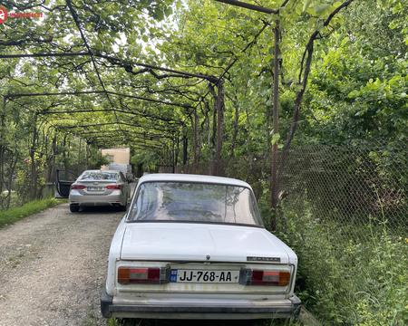 ჟიგული